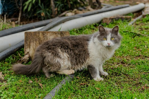 L'Impact du Tabagisme sur la Santé Bucco-Dentaire : Un Lien à ne pas Ignorer